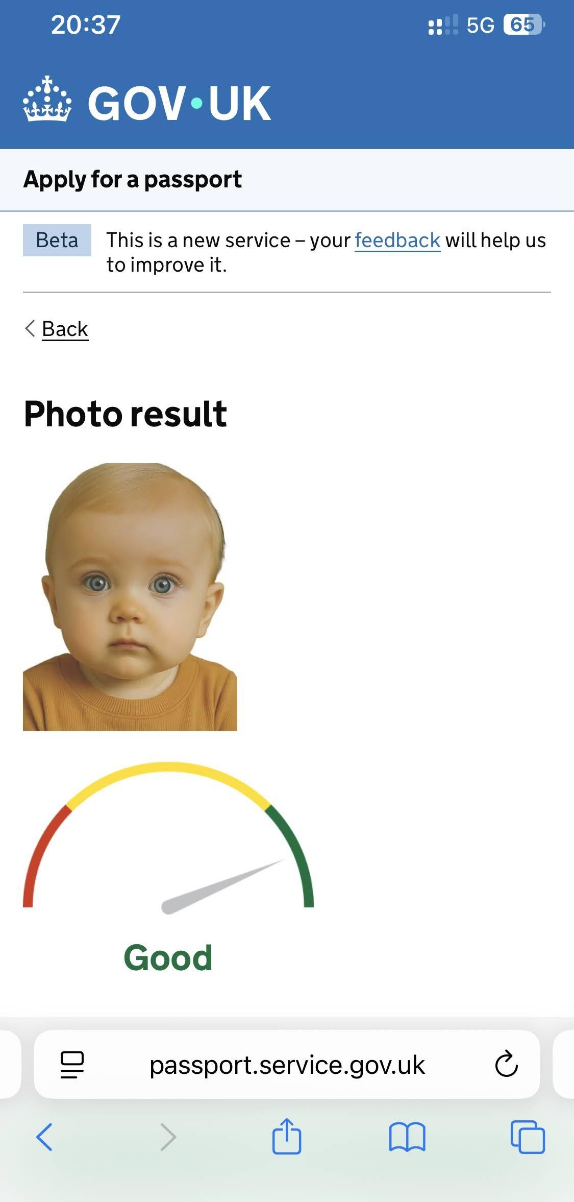 IndiaPassportPhoto photo result screen with a passport photo preview
